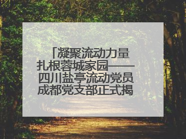 凝聚流动力量 扎根蓉城家园——四川盐亭流动党员成都党支部正式揭牌成立