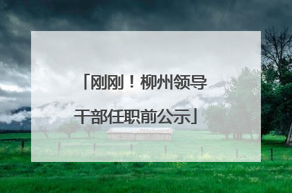 刚刚！柳州领导干部任职前公示