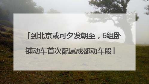 到北京或可夕发朝至，6组卧铺动车首次配属成都动车段