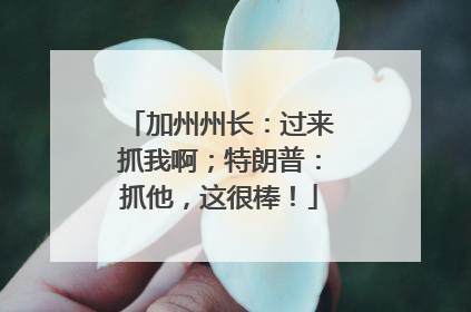 加州州长：过来抓我啊；特朗普：抓他，这很棒！