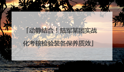 动静结合！陆军某团实战化考核检验装备保养质效