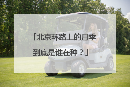 北京环路上的月季到底是谁在种？