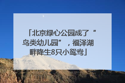 北京绿心公园成了“鸟类幼儿园”，福泽湖畔降生8只小鸳鸯