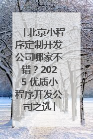 北京小程序定制开发公司哪家不错？2025 优质小程序开发公司之选