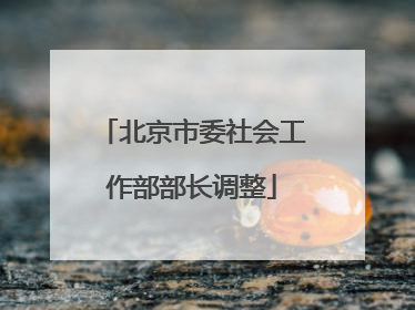 北京市委社会工作部部长调整