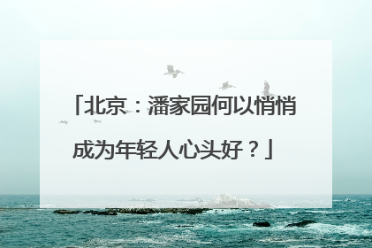北京：潘家园何以悄悄成为年轻人心头好？