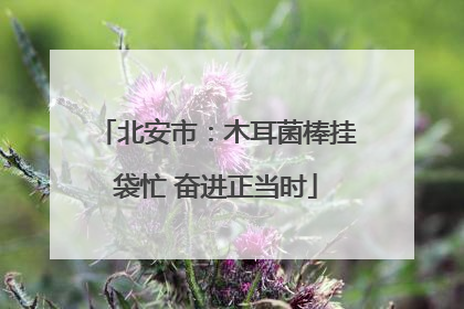 北安市：木耳菌棒挂袋忙 奋进正当时