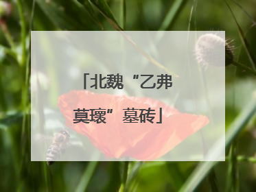 北魏“乙弗莫瓌”墓砖