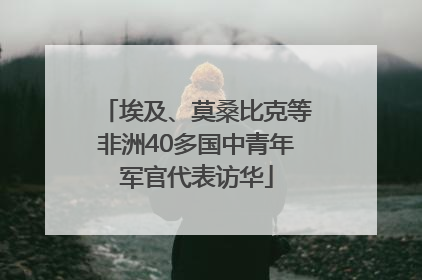 埃及、莫桑比克等非洲40多国中青年军官代表访华
