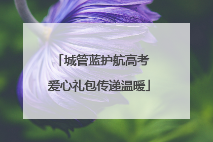 城管蓝护航高考 爱心礼包传递温暖