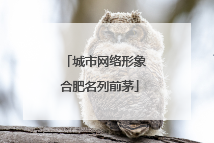 城市网络形象合肥名列前茅