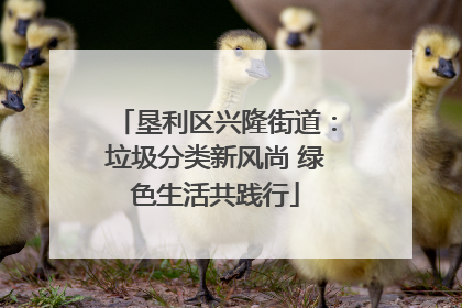 垦利区兴隆街道：垃圾分类新风尚 绿色生活共践行