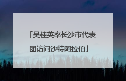 吴桂英率长沙市代表团访问沙特阿拉伯