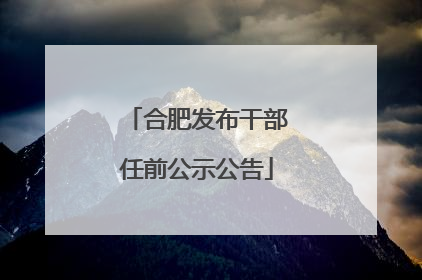 合肥发布干部任前公示公告