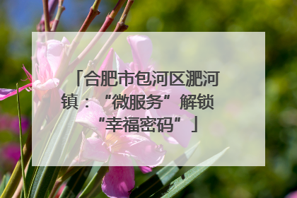 合肥市包河区淝河镇：“微服务”解锁“幸福密码”