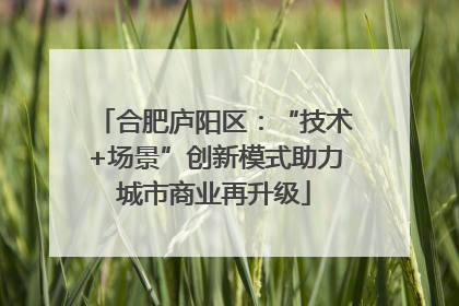 合肥庐阳区：“技术+场景”创新模式助力城市商业再升级