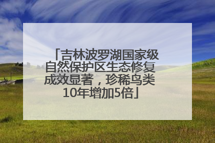 吉林波罗湖国家级自然保护区生态修复成效显著，珍稀鸟类10年增加5倍