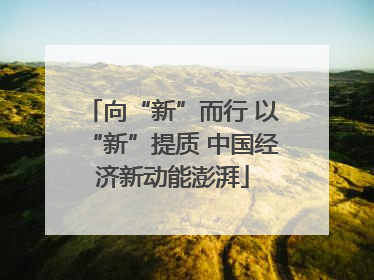 向“新”而行 以“新”提质 中国经济新动能澎湃