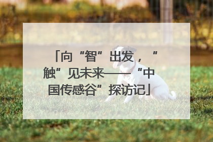 向“智”出发，“触”见未来——“中国传感谷”探访记
