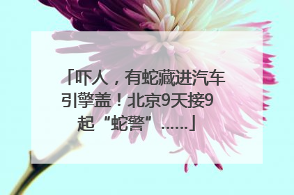 吓人，有蛇藏进汽车引擎盖！北京9天接9起“蛇警”……