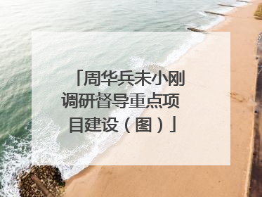 周华兵未小刚调研督导重点项目建设（图）