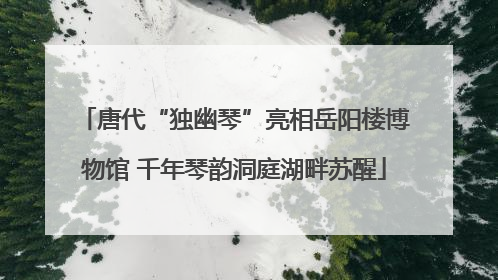 唐代“独幽琴”亮相岳阳楼博物馆 千年琴韵洞庭湖畔苏醒