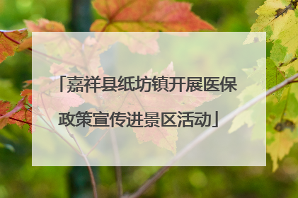 嘉祥县纸坊镇开展医保政策宣传进景区活动