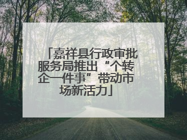 嘉祥县行政审批服务局推出“个转企一件事”带动市场新活力