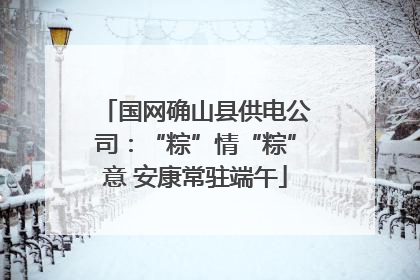 国网确山县供电公司：“粽”情“粽”意 安康常驻端午
