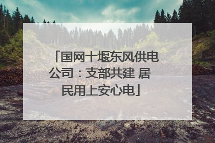 国网十堰东风供电公司：支部共建 居民用上安心电