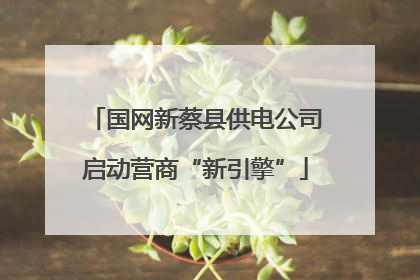 国网新蔡县供电公司启动营商“新引擎”