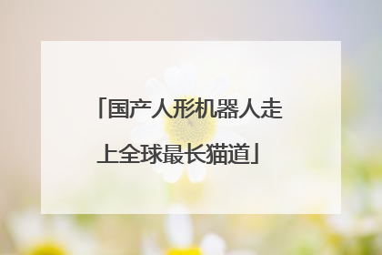国产人形机器人走上全球最长猫道