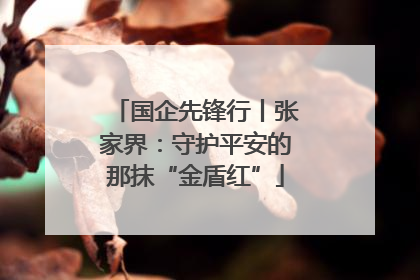 国企先锋行丨张家界：守护平安的那抹“金盾红”