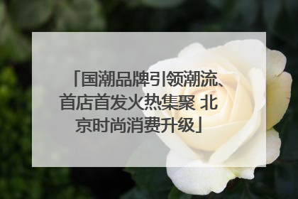 国潮品牌引领潮流、首店首发火热集聚 北京时尚消费升级