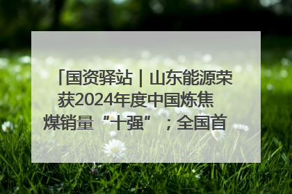 国资驿站｜山东能源荣获2024年度中国炼焦煤销量“十强”；全国首例铁路盖上智慧物流园钢结构主体完工