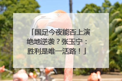 国足今夜能否上演绝地逆袭？张玉宁：胜利是唯一活路！