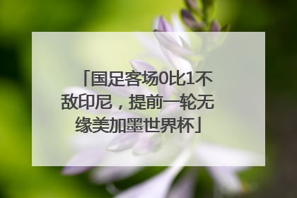 国足客场0比1不敌印尼，提前一轮无缘美加墨世界杯