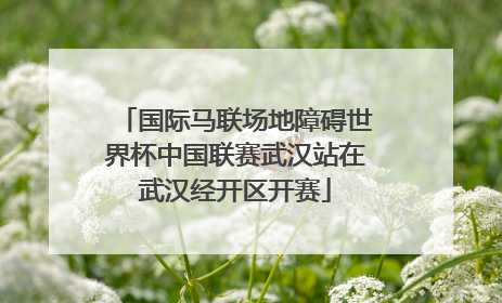 国际马联场地障碍世界杯中国联赛武汉站在武汉经开区开赛