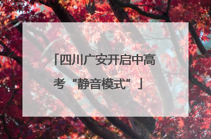 四川广安开启中高考“静音模式”