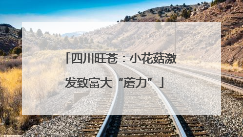 四川旺苍：小花菇激发致富大“蘑力”