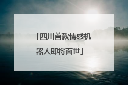 四川首款情感机器人即将面世