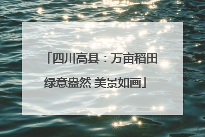 四川高县：万亩稻田绿意盎然 美景如画