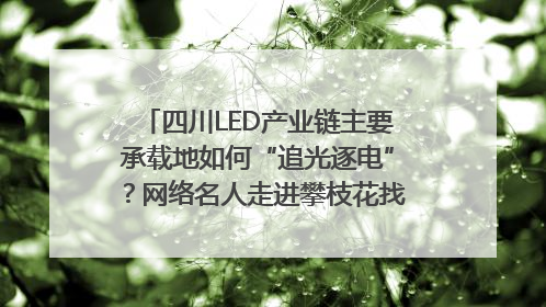 四川LED产业链主要承载地如何“追光逐电”？网络名人走进攀枝花找答案｜网络名人四川行