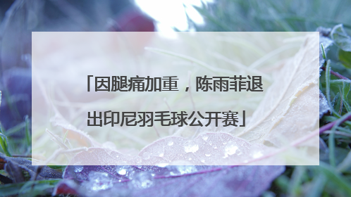 因腿痛加重，陈雨菲退出印尼羽毛球公开赛