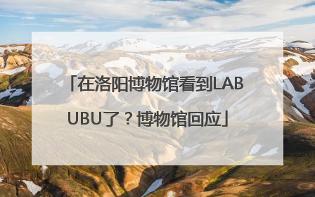 在洛阳博物馆看到LABUBU了？博物馆回应