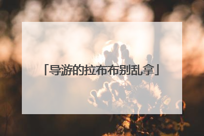 导游的拉布布别乱拿