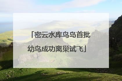 密云水库鸟岛首批幼鸟成功离巢试飞