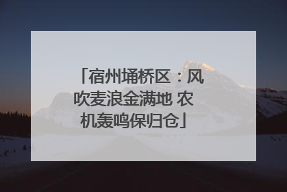 宿州埇桥区：风吹麦浪金满地 农机轰鸣保归仓