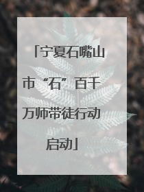 宁夏石嘴山市“石”百千万师带徒行动启动