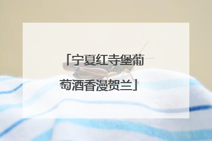 宁夏红寺堡葡萄酒香漫贺兰